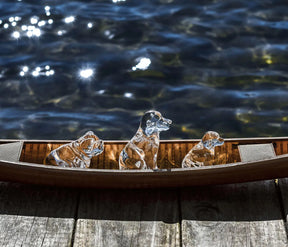 Simon Pearce Dog on a boat