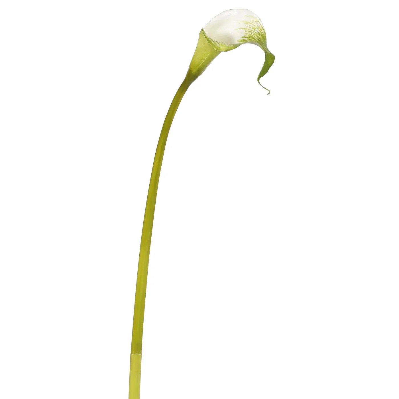 An image of Winward 20.5" Calla Lily