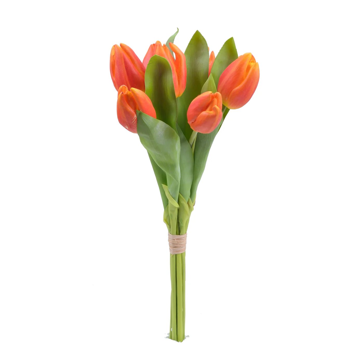 An image of Winward 16" Tulip Bunch