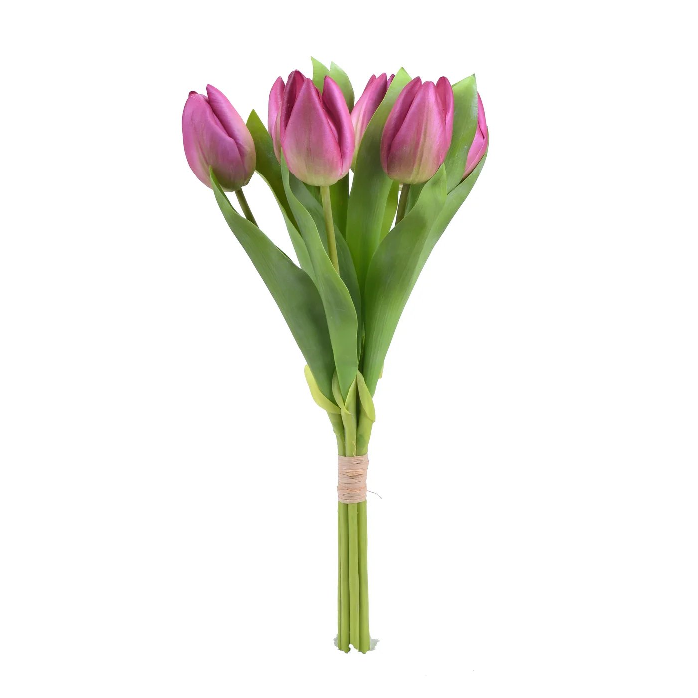 An image of Winward 16" Tulip Bunch