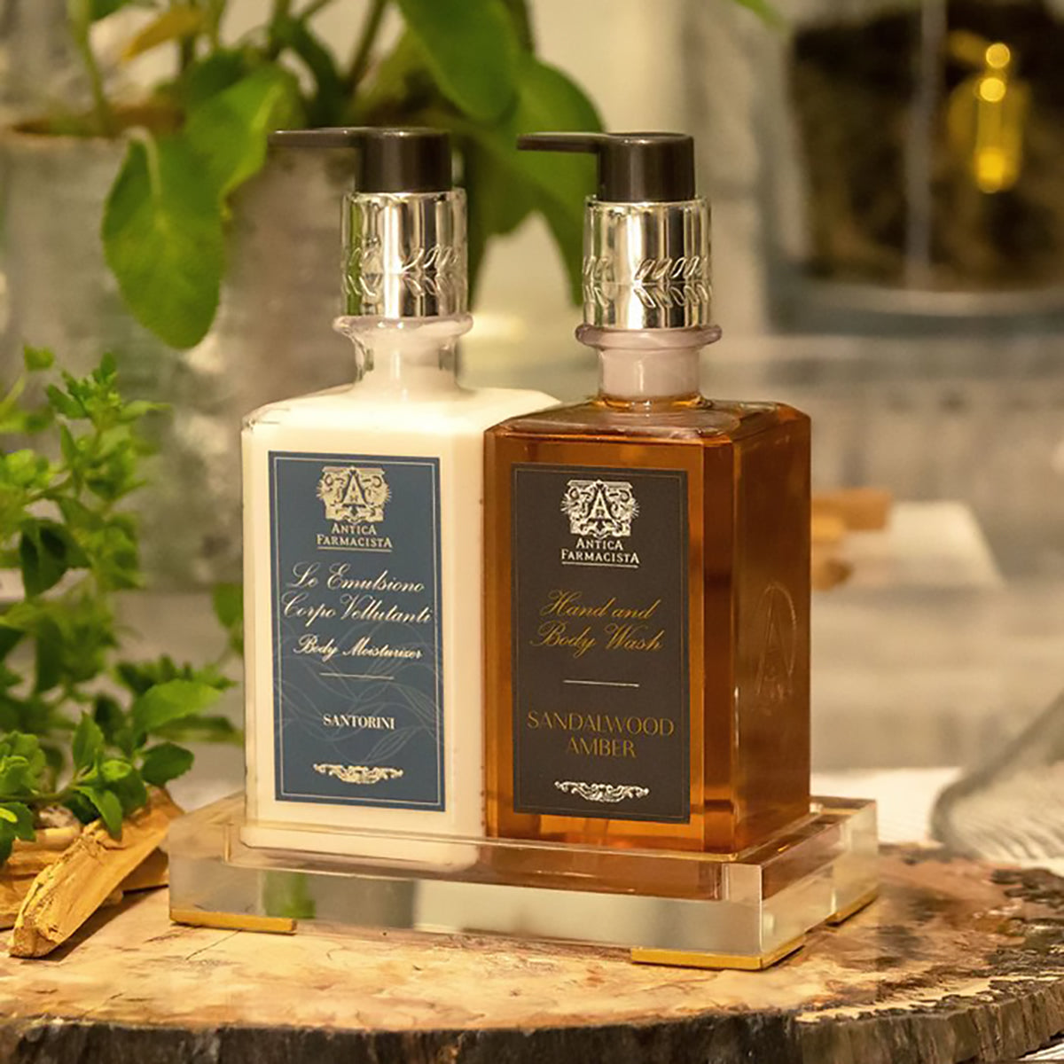 Antica Farmacista Sandalwood Amber Hand and Body Wash 10 fl oz