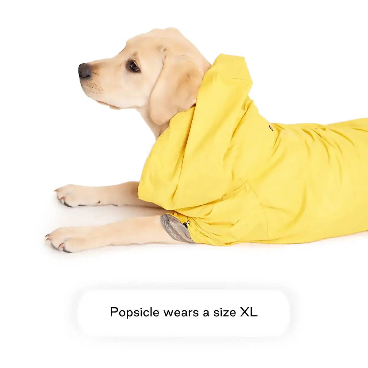 An image of Max-Bone Talon Raincoat