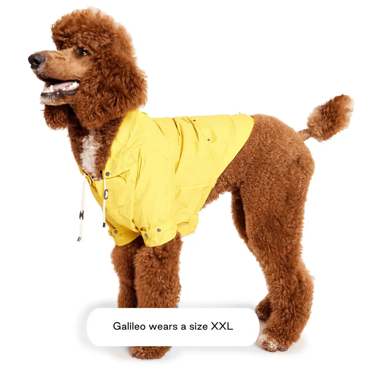 An image of Max-Bone Talon Raincoat