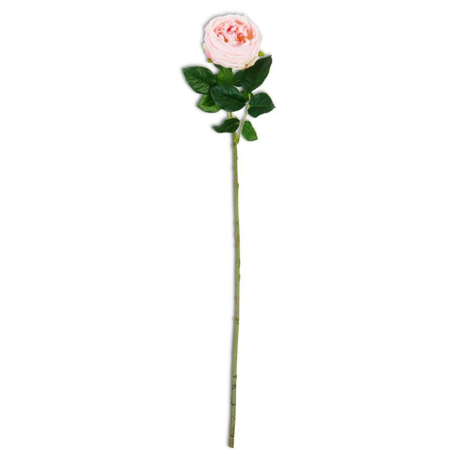 An image of K & K 24" Pink Real Touch Austin Rose