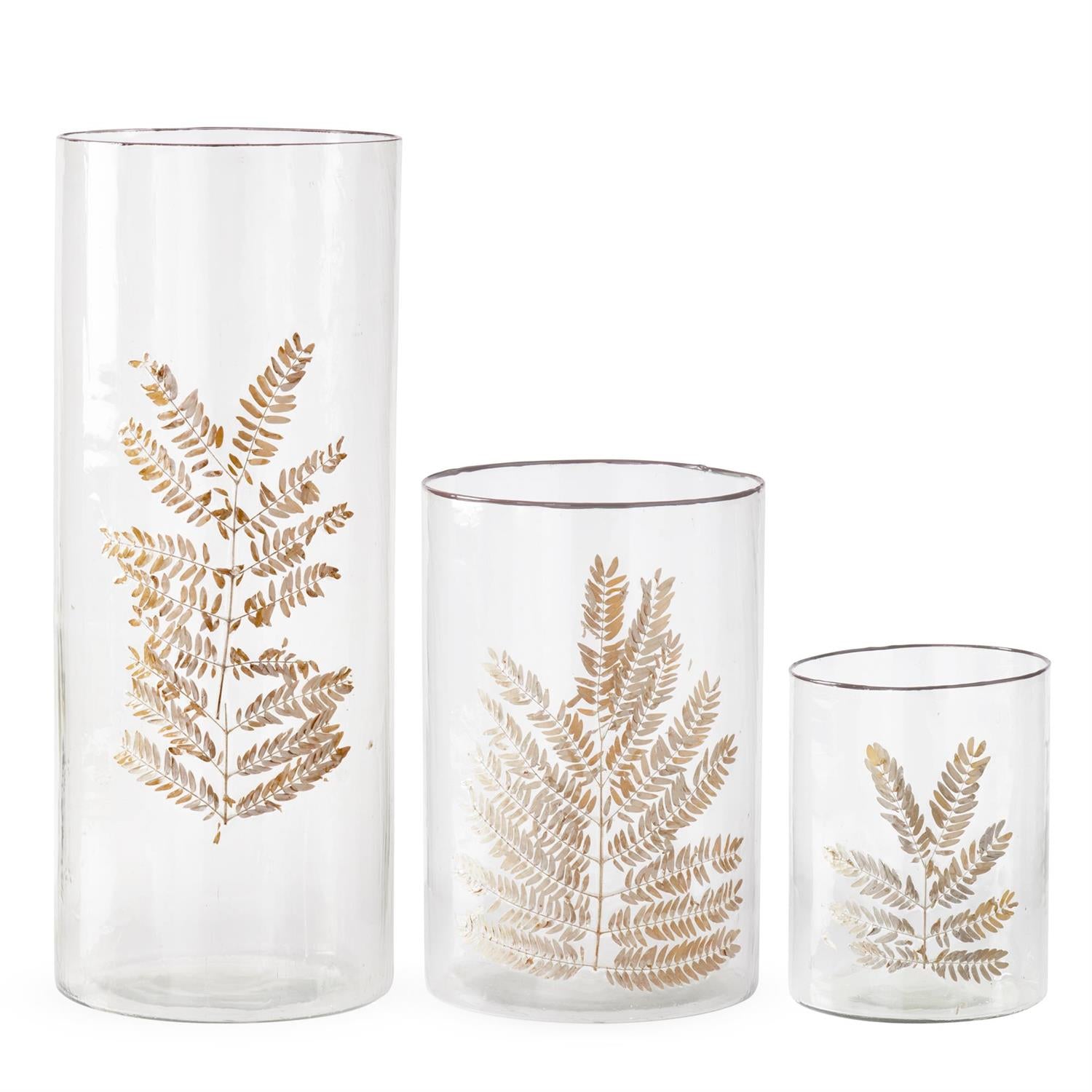 An image of K&K Clear Textured Glass Cylinders with Dried Leaves - Set of 3