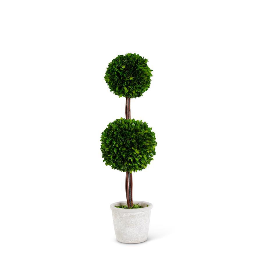 An image of K &K 27.5" Preserved Boxwood Double Ball Topiary in Whitewashed Pot