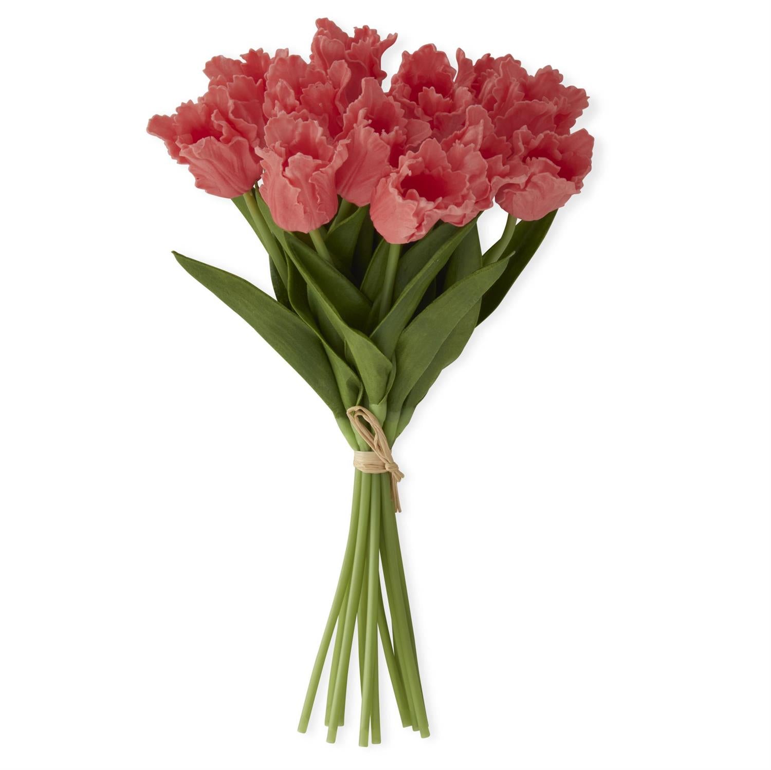 An image of K & K Parrot Tulip Real Touch Bundle - 12 Stem