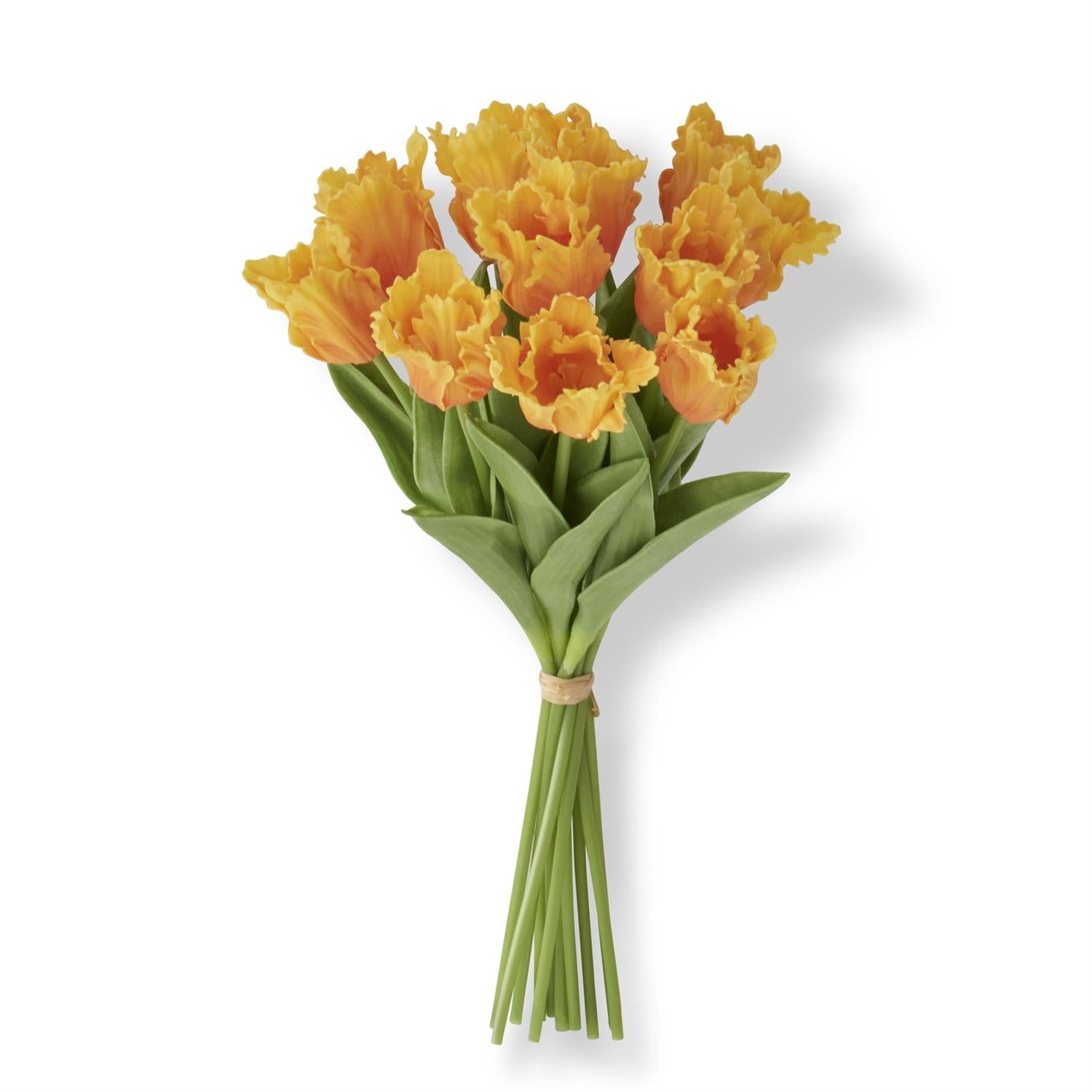 An image of K & K Parrot Tulip Real Touch Bundle - 12 Stem
