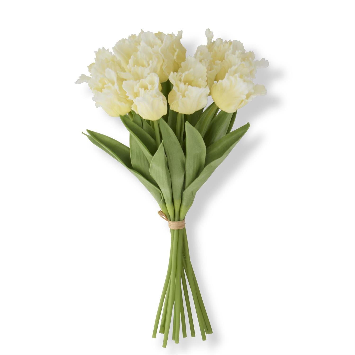 An image of K & K Parrot Tulip Real Touch Bundle - 12 Stem