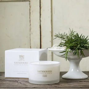 Rathbornes Classic Candle in Rosemary, Fougere and Camphor in a room with greenery