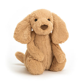 GH243814_Jellycat_Bashful_Toffee_Puppy_1.jpeg