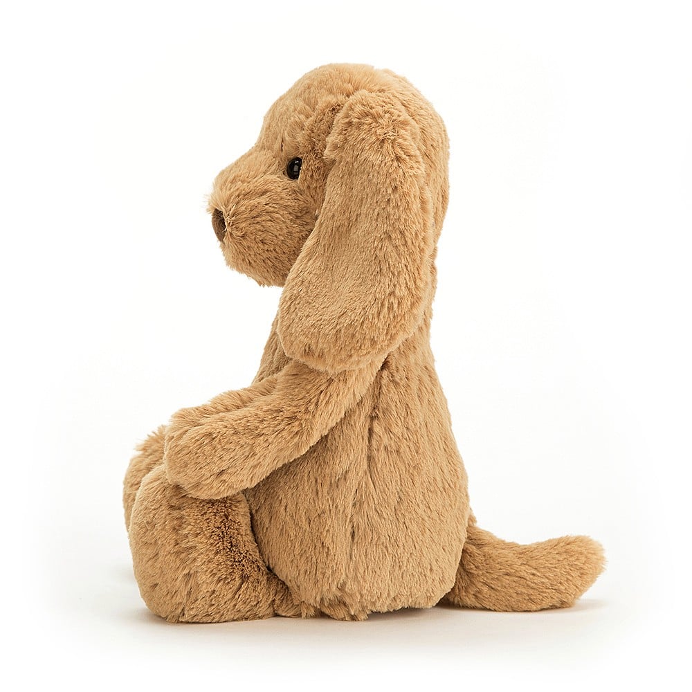 An image of Jellycat Bashful Toffee Puppy