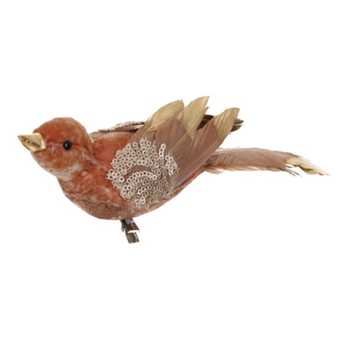 An image of Winward Velvet Bird