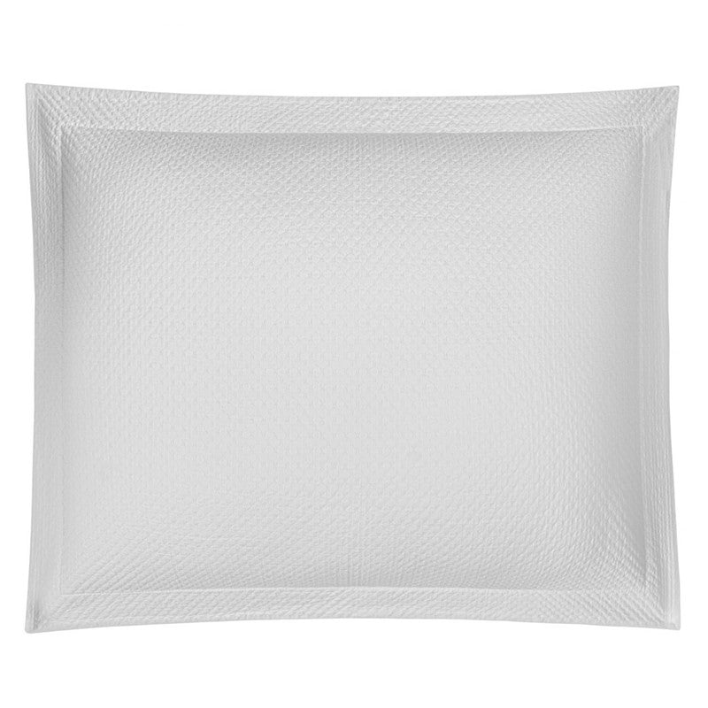 An image of Bovi Dotty Sham