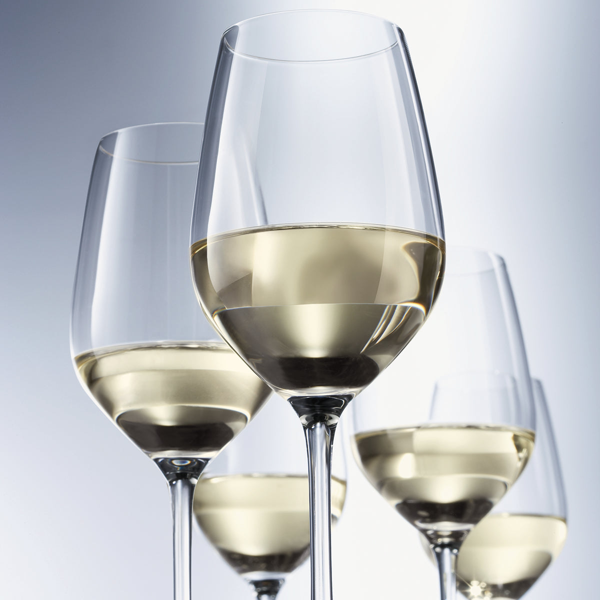 Five filled Fortessa Forte White Wine glasses