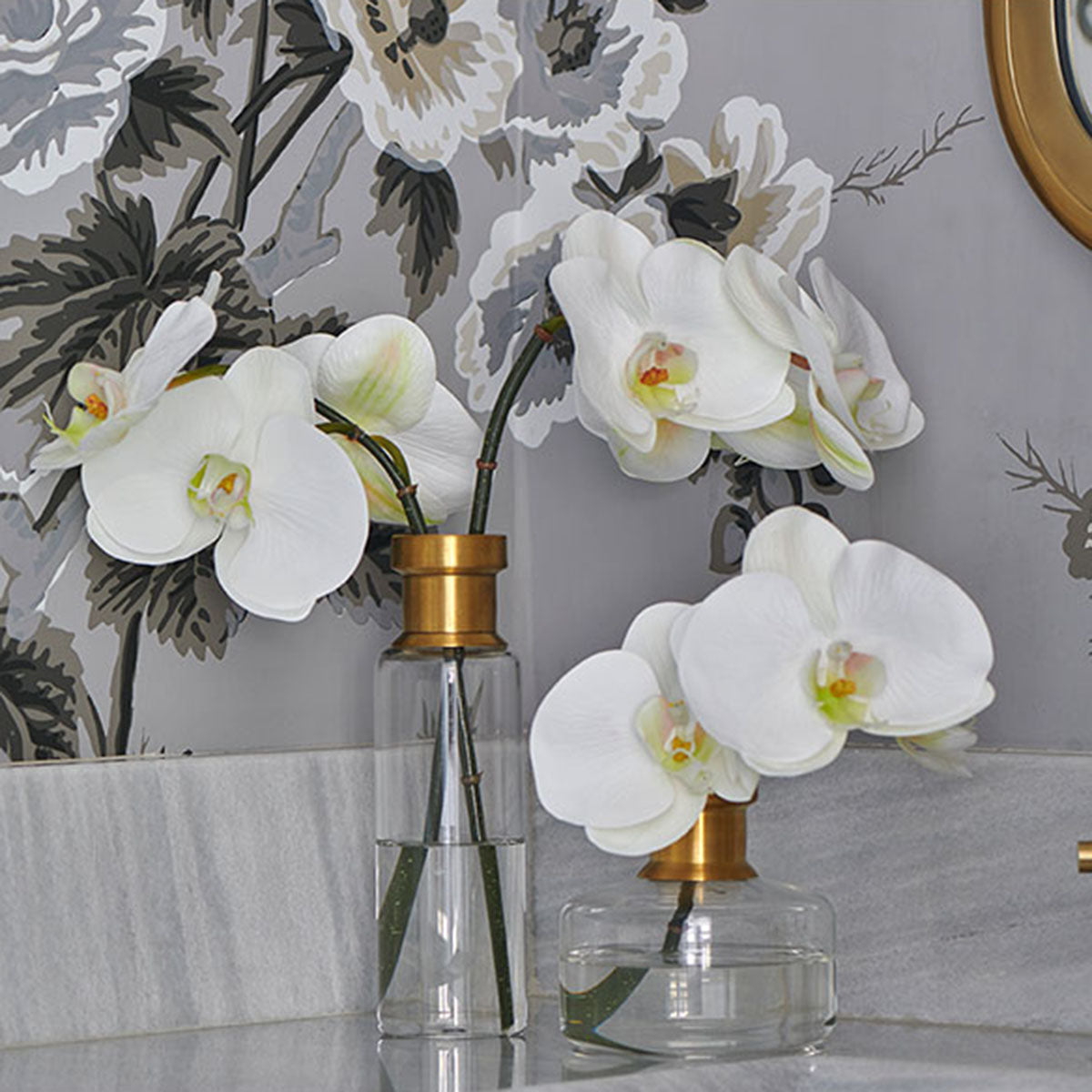 An image of Diane James Phalaenopsis Orchids in Vase