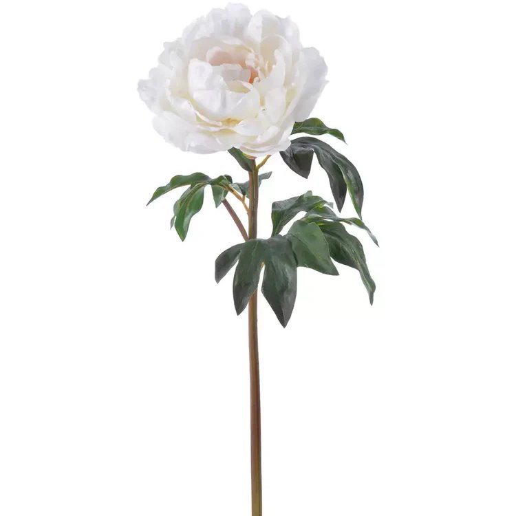 Winward 20.5" Peony