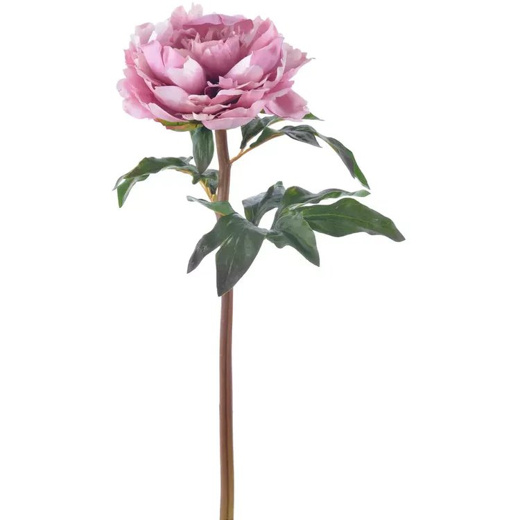 Winward 20.5" Peony