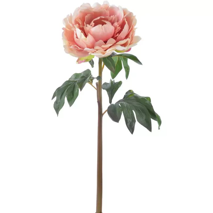 Winward 20.5" Peony