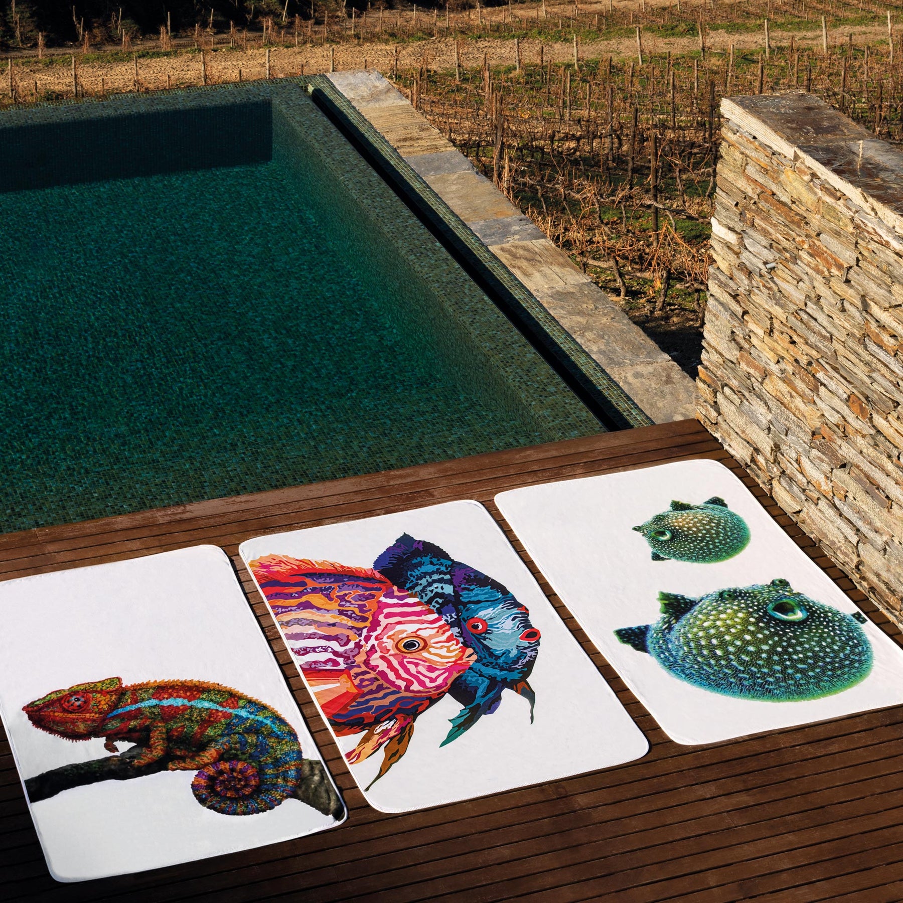 An image of Graccioza Coral Beach Towel