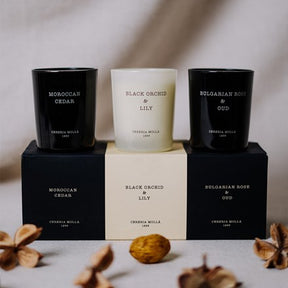 Cereria Molla Bulgarian Rose, Black Orchid and Lily, Moroccan Cedar Votive Candle Gift Set