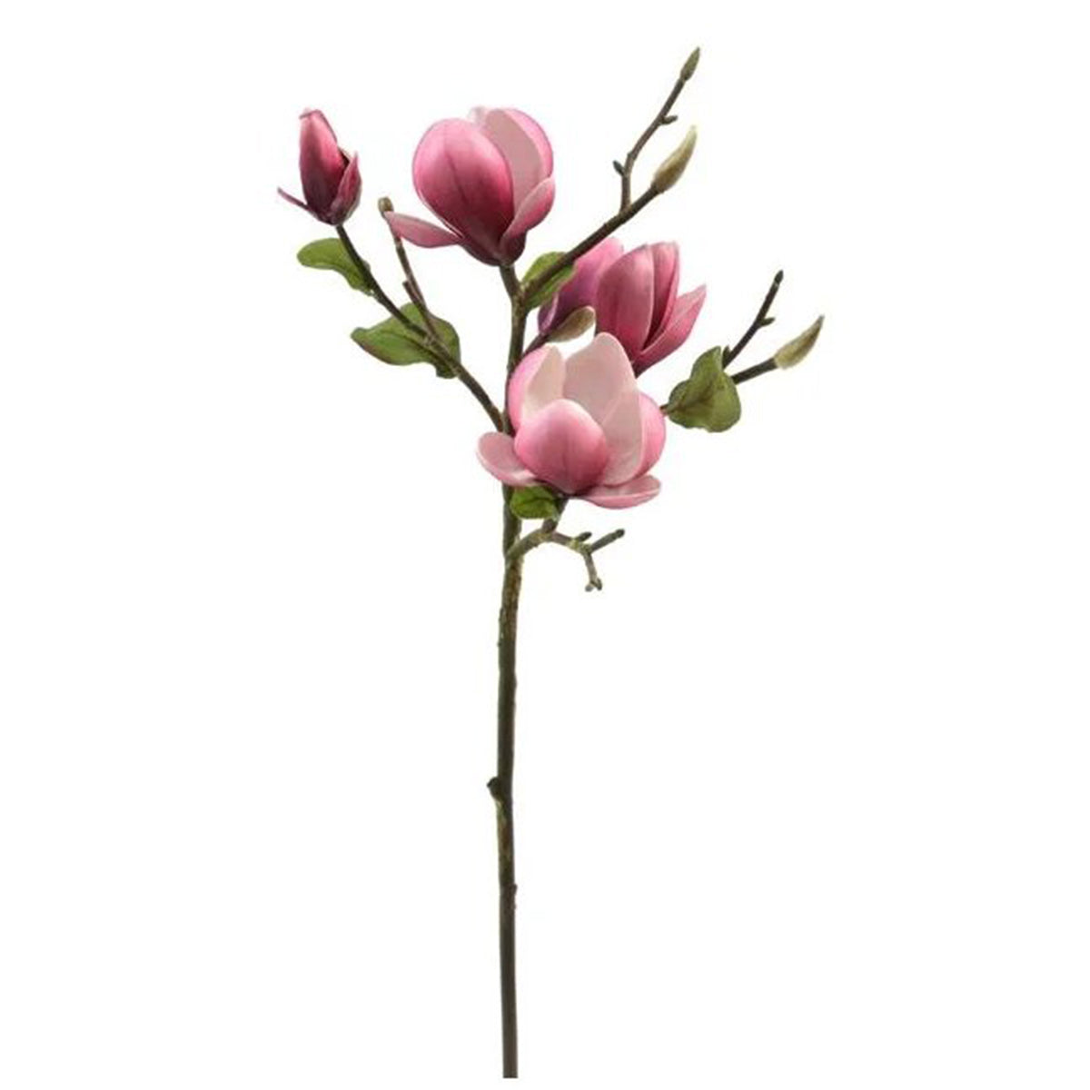 An image of Winward Fuchsia Magnolia Tree Pick