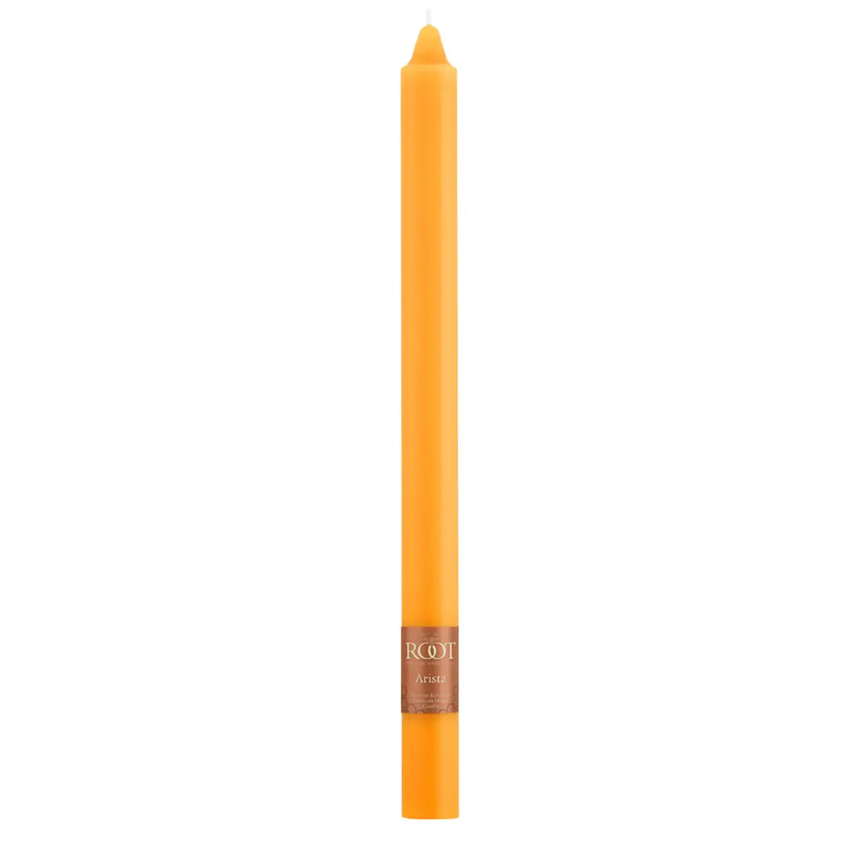 Root Candles Arista 12" Butterscotch