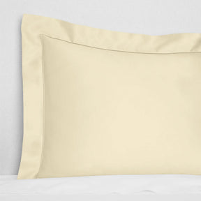 Sferra Ariel Shams
