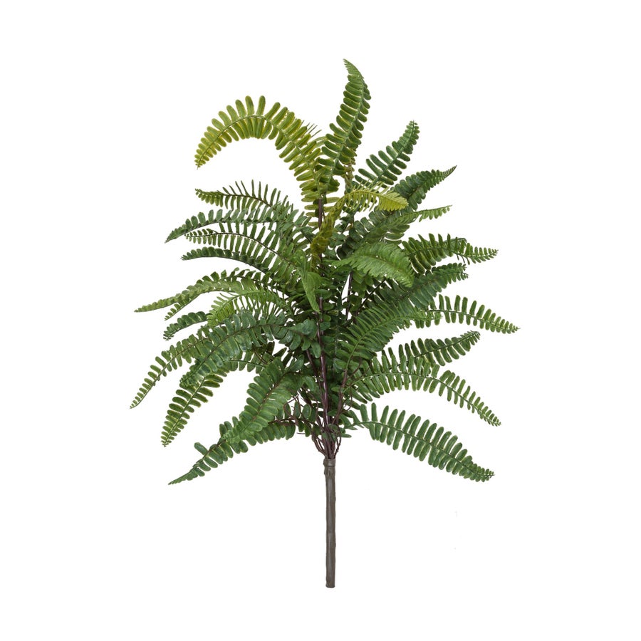 GH30341GR_Winward_Sword_Fern_Bush_1.jpeg