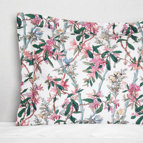 Sferra Ramaglia Blush Shams
