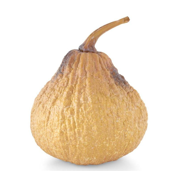 K & K Orange with Yellow & Brown Shadowing Gourd
