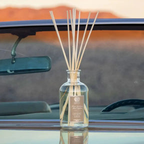 Antica Farmacista Desert Sage HA Diffuser with Reeds on a hood of a car