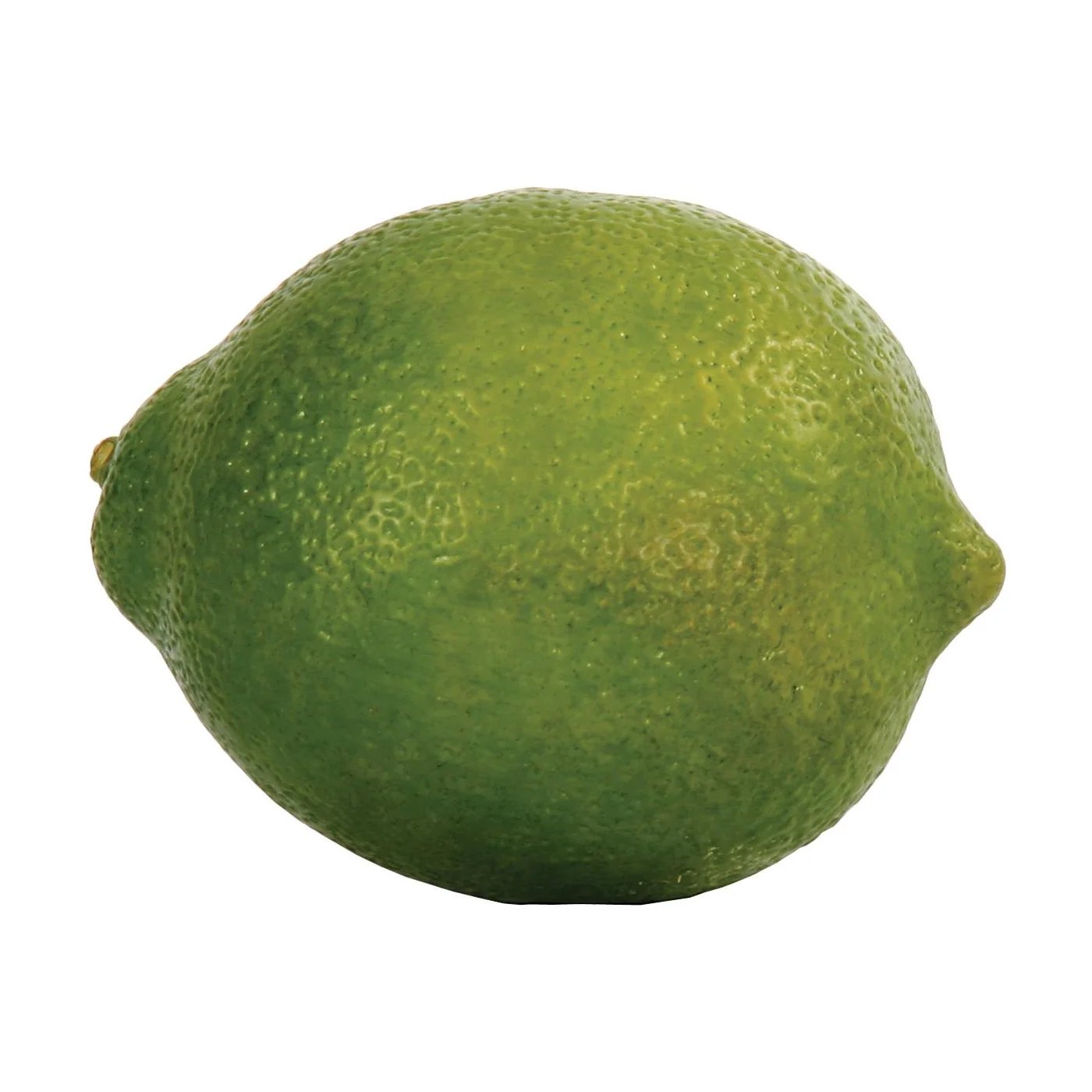 An image of Winward Lime