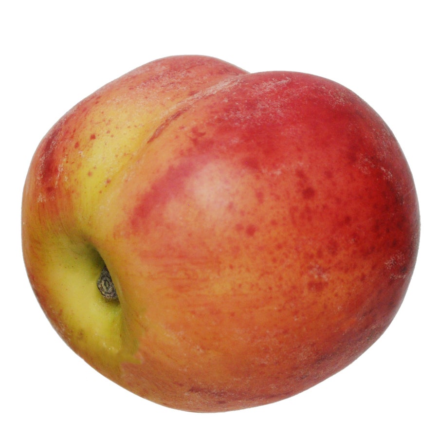 Winward 3.5" Peach