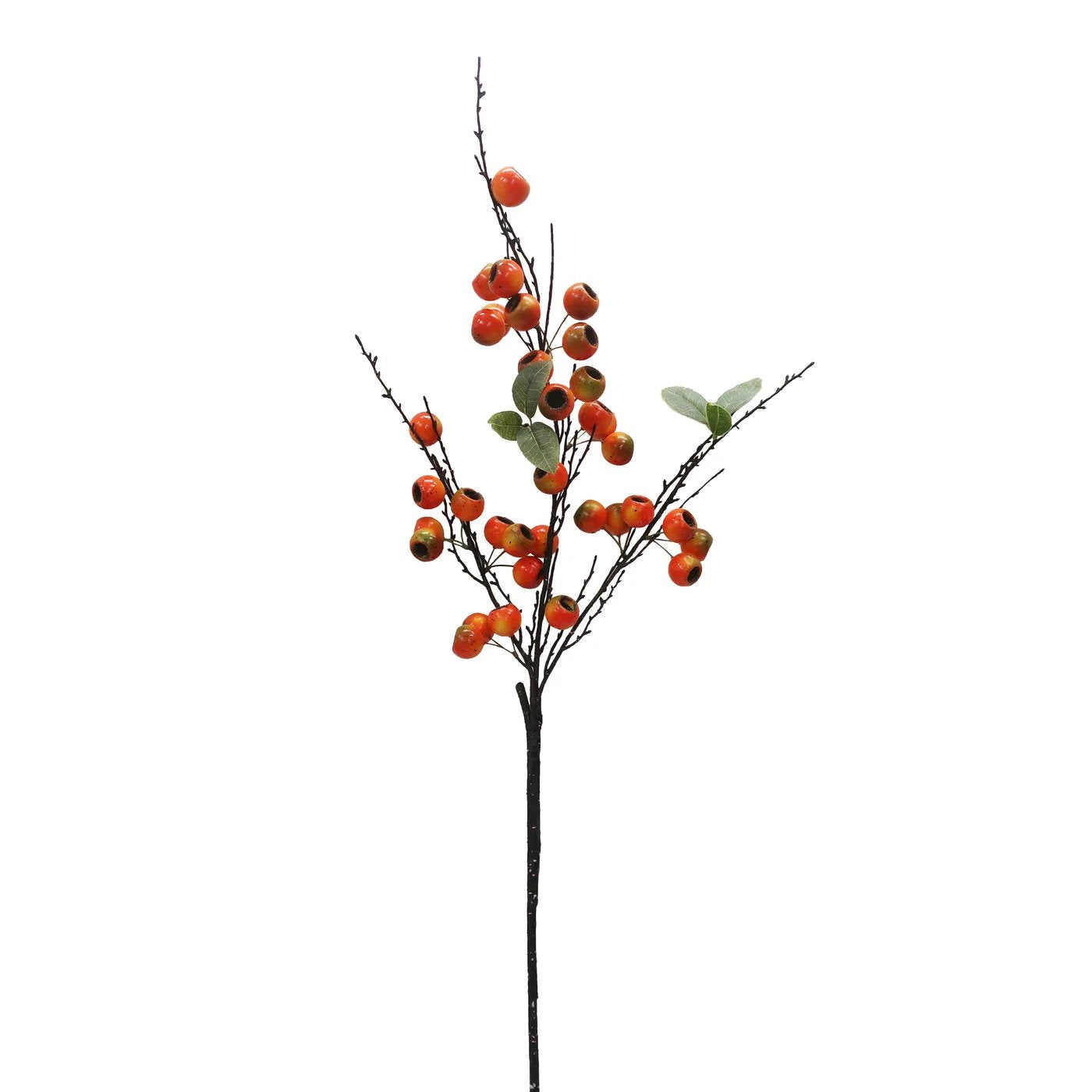 An image of Winward Open Fruit Stem