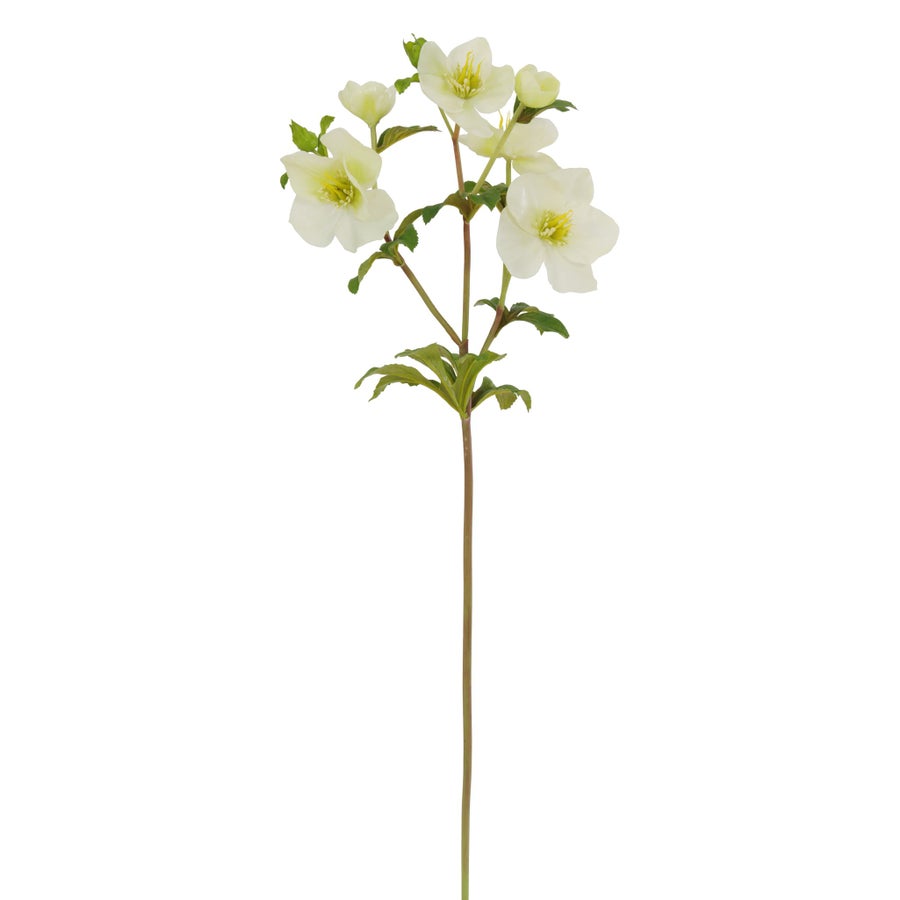 Winward 25.5" Hellebores Stem - White
