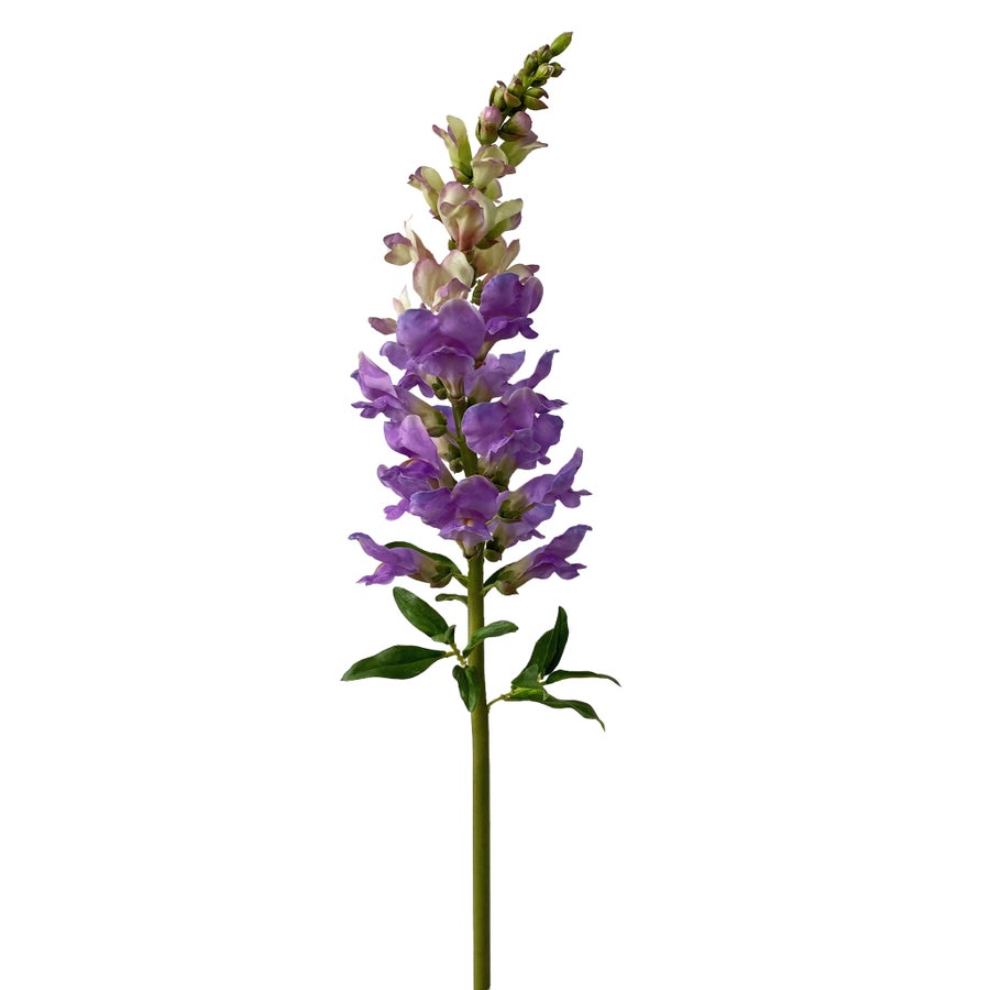 An image of Winward Snapdragon 30" Stem