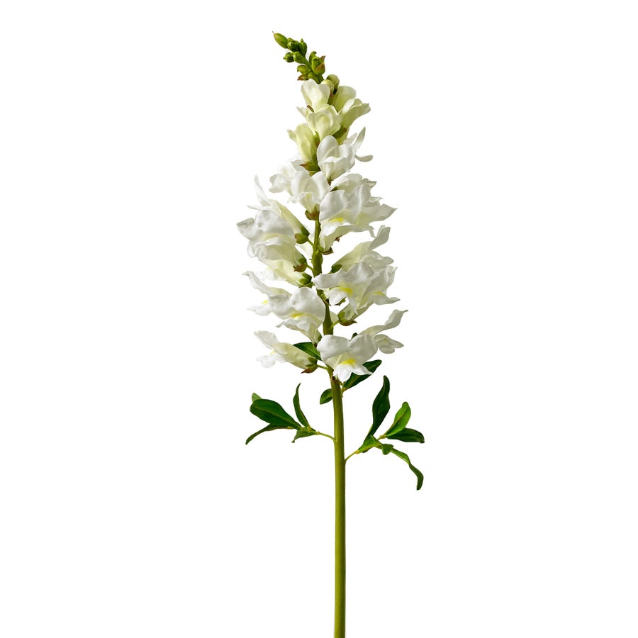 Winward Snapdragon 30" Stem