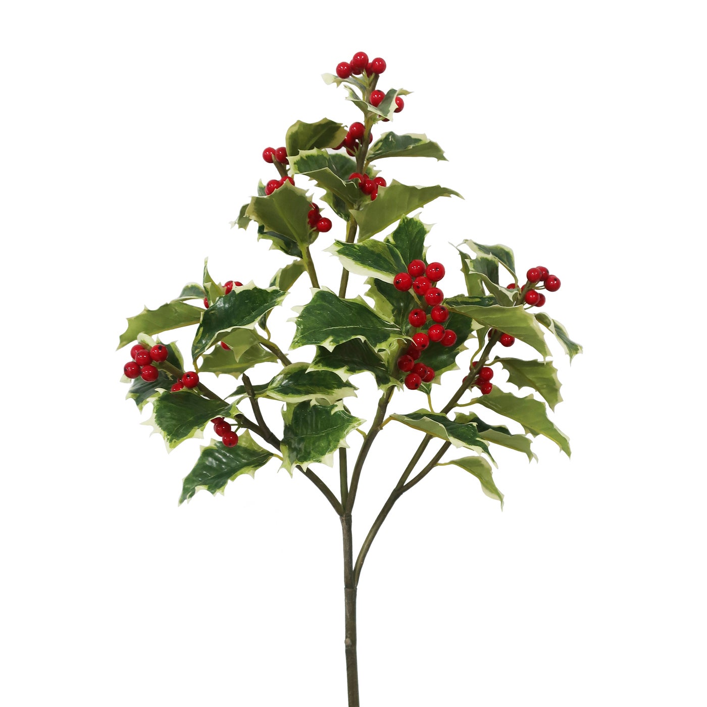 Winward Verigated Red Holly Branch - 36 inch