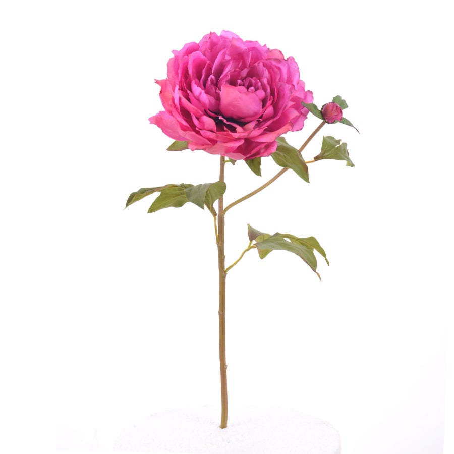An image of Winward Peony 19.5" Stem