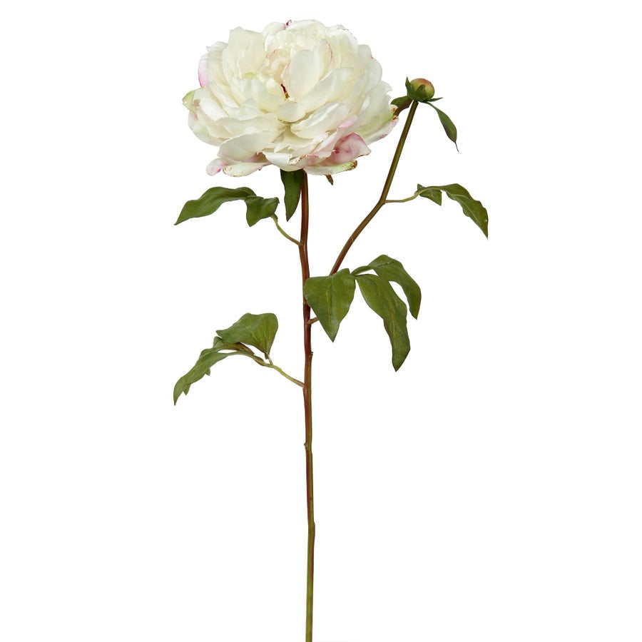 An image of Winward Peony 19.5" Stem