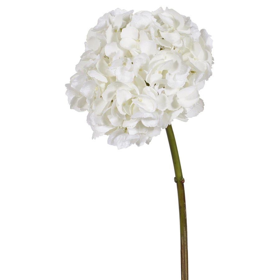 An image of Winward Hydrangea 19" Short Stem