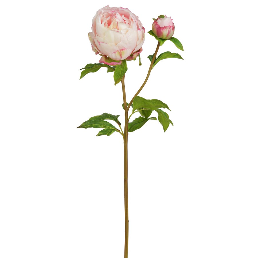 An image of Winward Peony 21" Stem