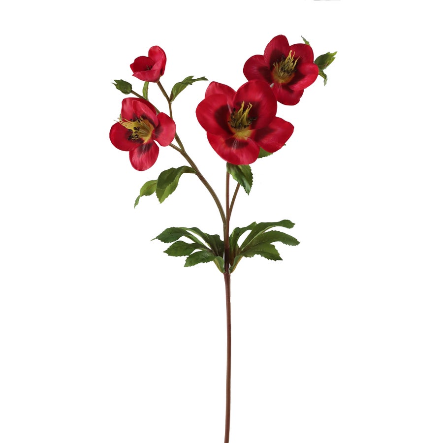 Winward 25" Hellebores Stem - Red