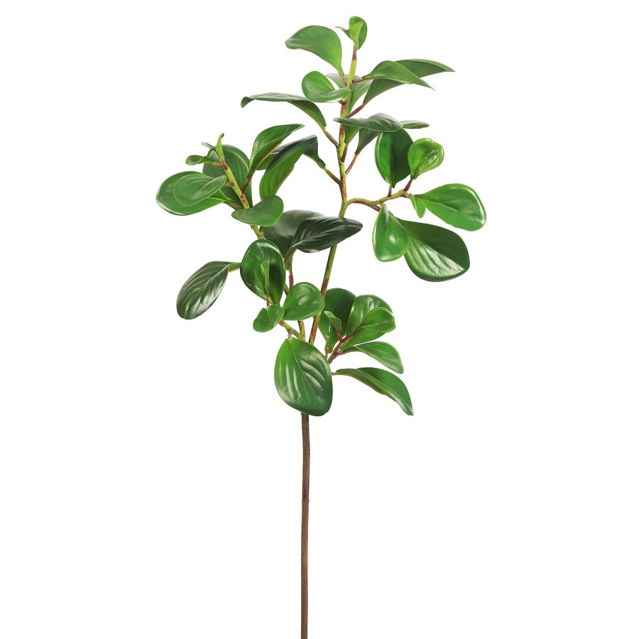 GH95467GR_Winward_Green_Peperomia_Obtusifolia_Spray_1.jpeg