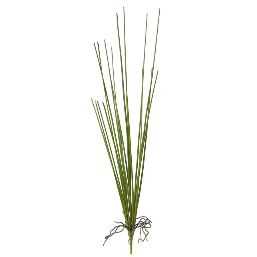 Winward Reed Bundle