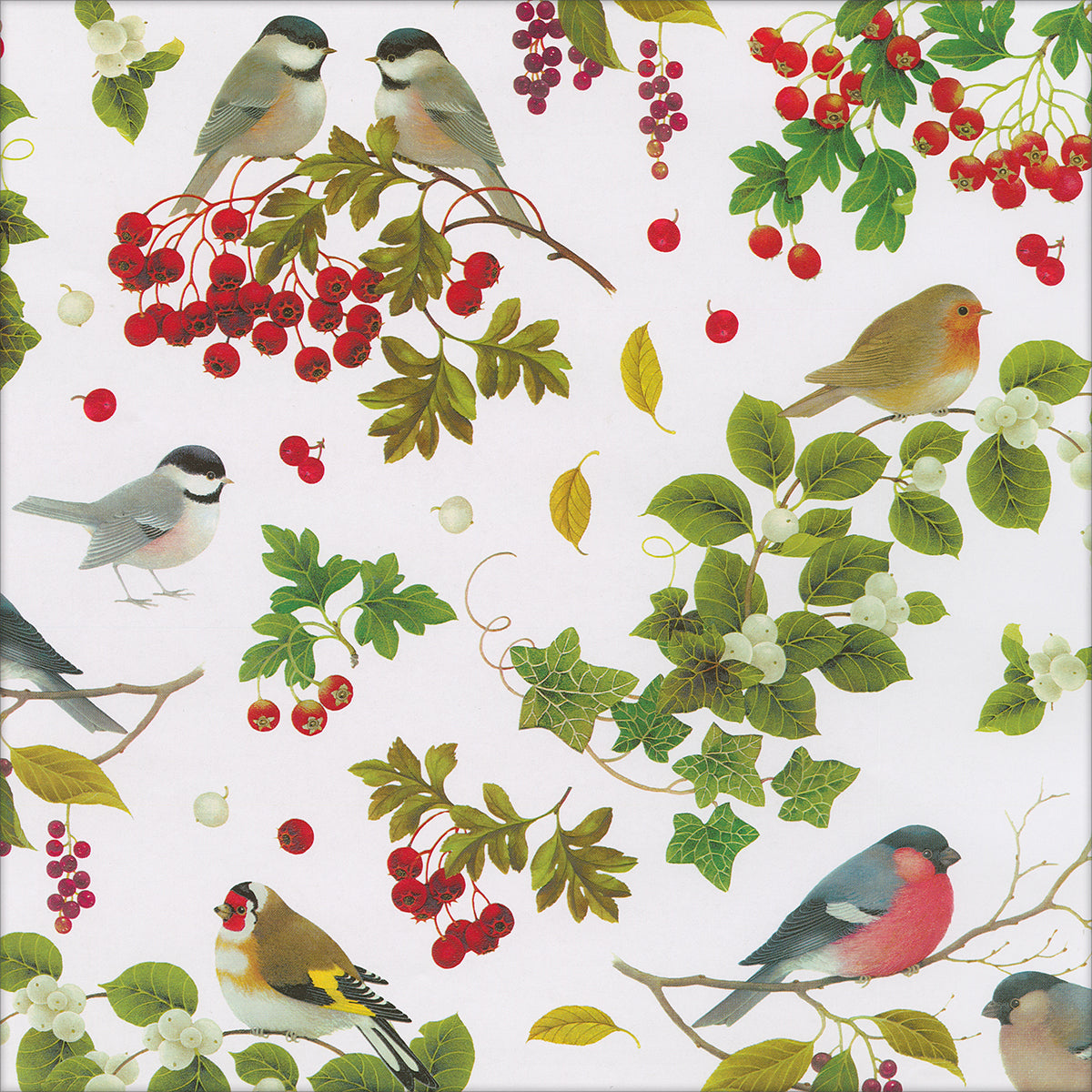 An image of Caspari Winter Birds Roll Wrap - 8 ft