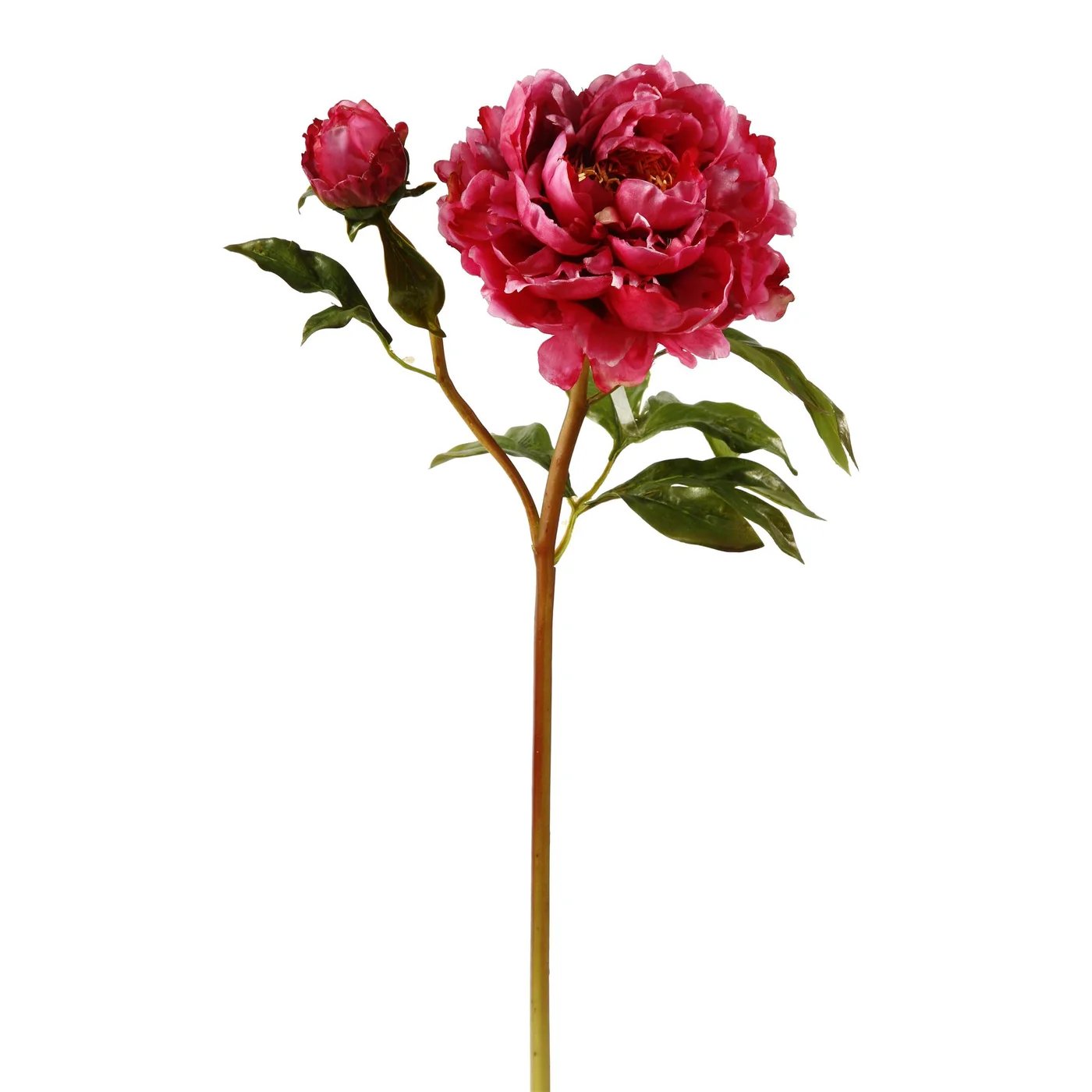 An image of Winward 21.5" Peony Open Stem