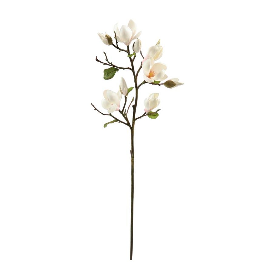 An image of Winward Tree Magnolia 32" Spray