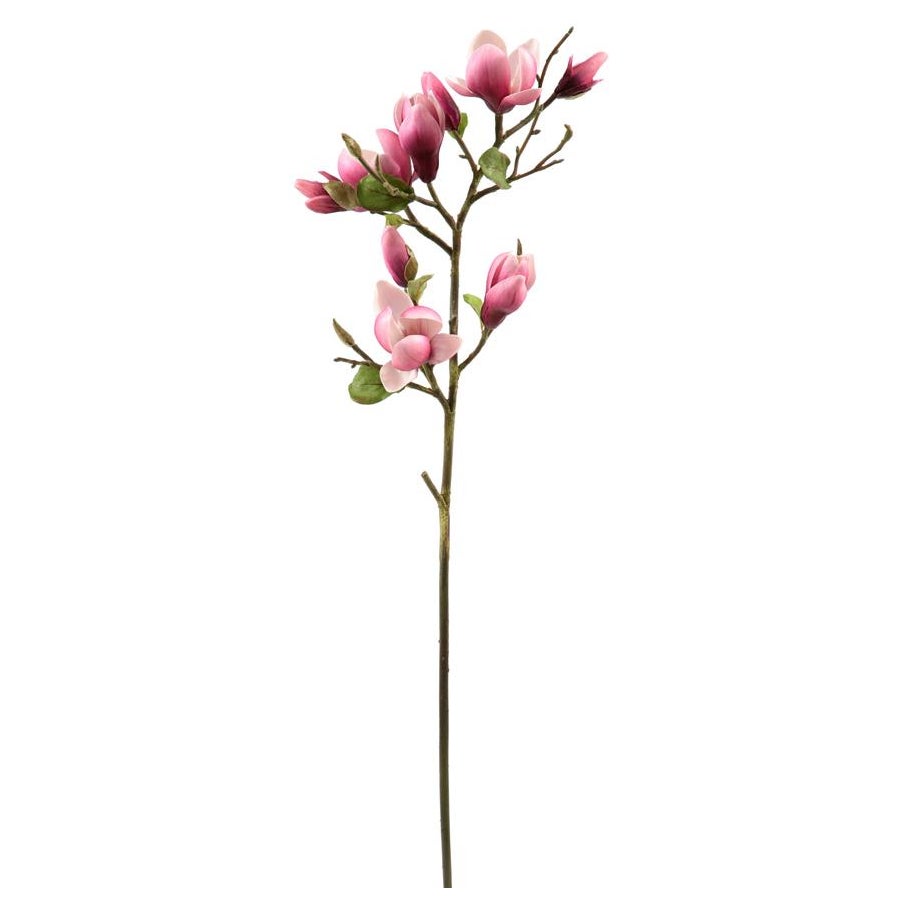 An image of Winward Tree Magnolia 32" Spray